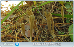 0_109831_f80d512e_orig.png