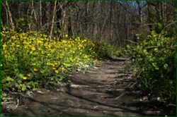0_e2443_d421aac2_orig.png