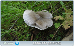 0_11218e_99fc9a5e_orig.png