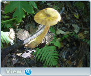 0_130bc1_34378043_orig.png