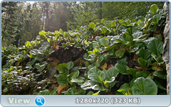 0_f9626_f622f22_orig.png