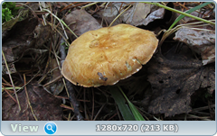 0_fc0a2_ef7f789e_orig.png