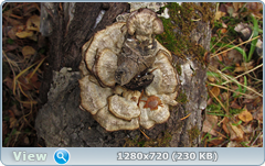 0_f4d7c_e13043bb_orig.png