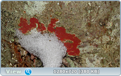 0_fa694_a6f079ba_orig.png