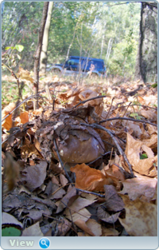 0_f5153_7b66b59d_orig.png