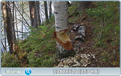 0_f3848_222ae686_orig.png