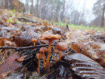 0_ce310_b83fd7e7_S.jpg