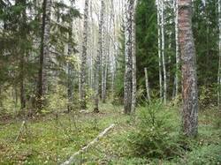0_86220_31ca895c_M.jpg