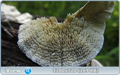 0_fc319_8eb01991_orig.png