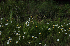 0_e4722_21a3e6ab_orig.png