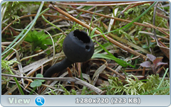 0_1040a7_3c788328_orig.png