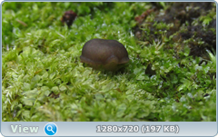 0_105540_b818ebd3_orig.png