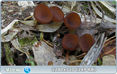 0_1055e9_b1b03645_orig.png