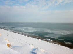 0_5eb65_7726e8ed_M.jpg