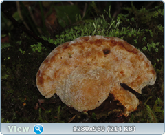0_fc440_fb8bdcb9_orig.png