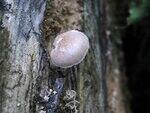 0_712da_841c1edb_S.jpg