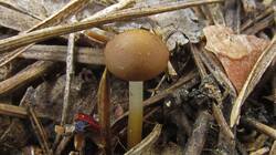 0_10206d_2aca620_orig.jpg