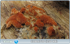 0_10208e_2a527970_orig.png