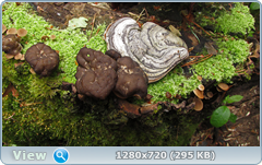 0_107070_eff6ed41_orig.png