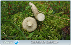 0_10a2e3_b7ba053_orig.png