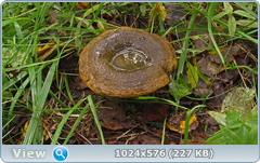 0_11fcbf_95f7aad9_orig.png