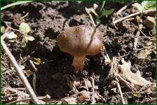 0_f61d7_51b84b37_orig.jpg
