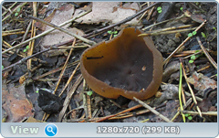 0_1092c8_7a82ee63_orig.png