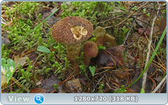 0_10a6cd_ecf4e9ed_orig.png