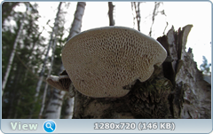 0_1027e1_686f844f_orig.png