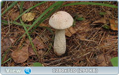 0_10f27d_11735fd7_orig.png