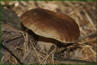 0_eb38d_ab569580_orig.jpg