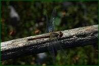 0_eb393_69d3de69_orig.jpg
