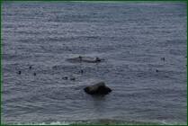 0_ef7e5_644c7558_orig.jpg