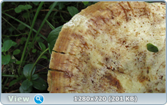0_10d424_51a5aa04_orig.png