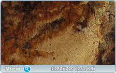 0_11589b_347ec271_orig.png