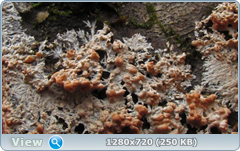 0_10387d_260e3b2b_orig.png