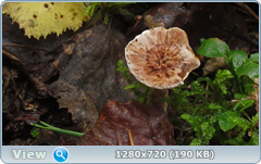 0_11062f_c60241eb_orig.png