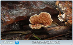 0_110637_8853221b_orig.png