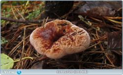 0_110640_efa579e8_orig.png
