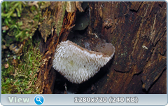 0_112322_3058d4e8_orig.png