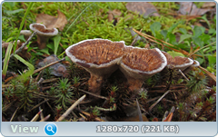 0_10f868_9fce14ca_orig.png