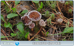 0_10f878_8b156a84_orig.png