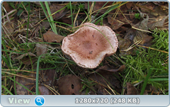 0_113382_6df8ba7c_orig.png