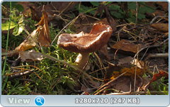 0_113386_e54b1b41_orig.png