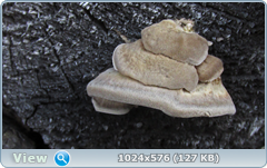 0_120949_23577a88_orig.png