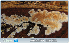0_120975_5d210f97_orig.png