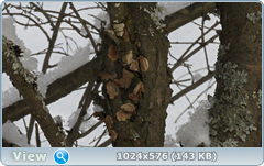 0_120986_807852e9_orig.png
