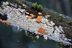 0_15567b_dbe3d761_orig.jpg