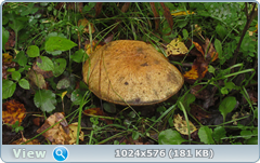 0_12d9bb_db736c4c_orig.png
