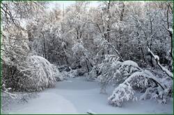 0_15613b_33fe8744_orig.jpg